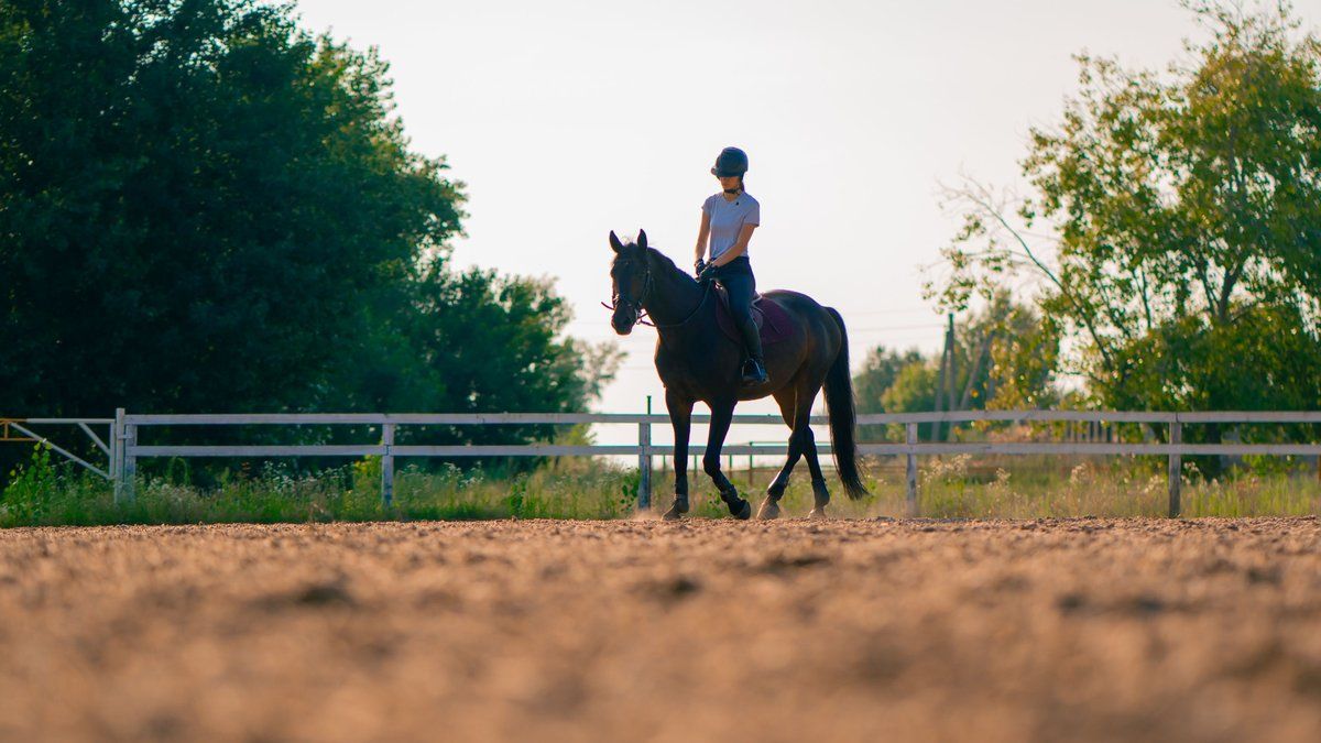 Urgence après une chute de cheval : une adolescente entre la vie et la mort