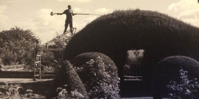 Découvrez le jardin topiaire des ifs : un trésor de la nature