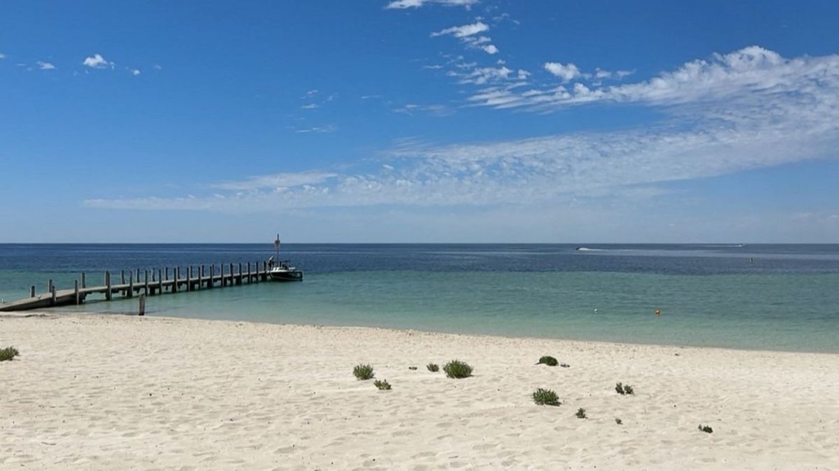 Un drame sous l'eau : un plongeur perd la vie face à un requin en Australie