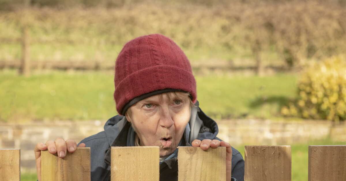 Les règles essentielles pour séparer son jardin des voisins