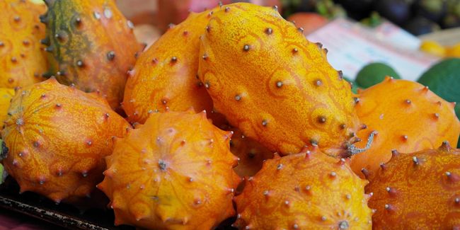 Kiwano (Cucumis metuliferus), melon à cornes ou métulon