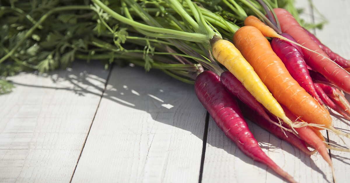 Les carottes sous toutes leurs formes : 7 variétés à explorer