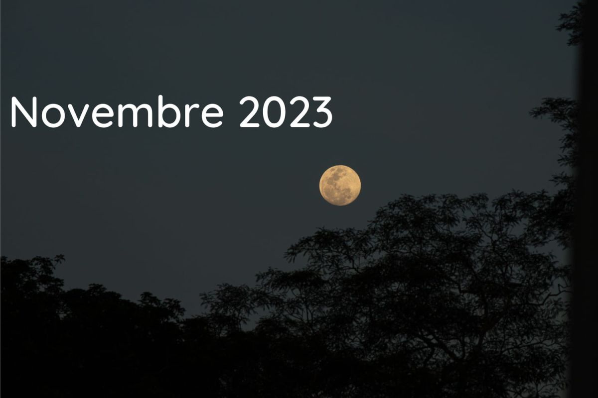 novembre au jardin : semer, tailler et récolter sous la lune