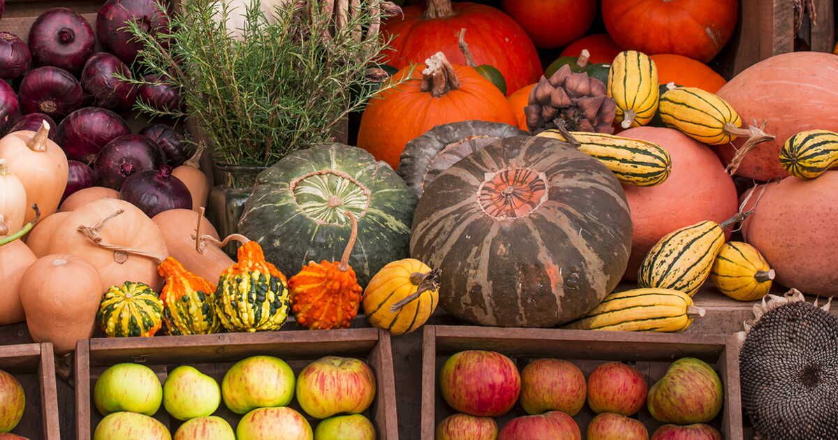L'automne dans votre assiette : découvrez fruits et légumes de saison et nos recettes favorites