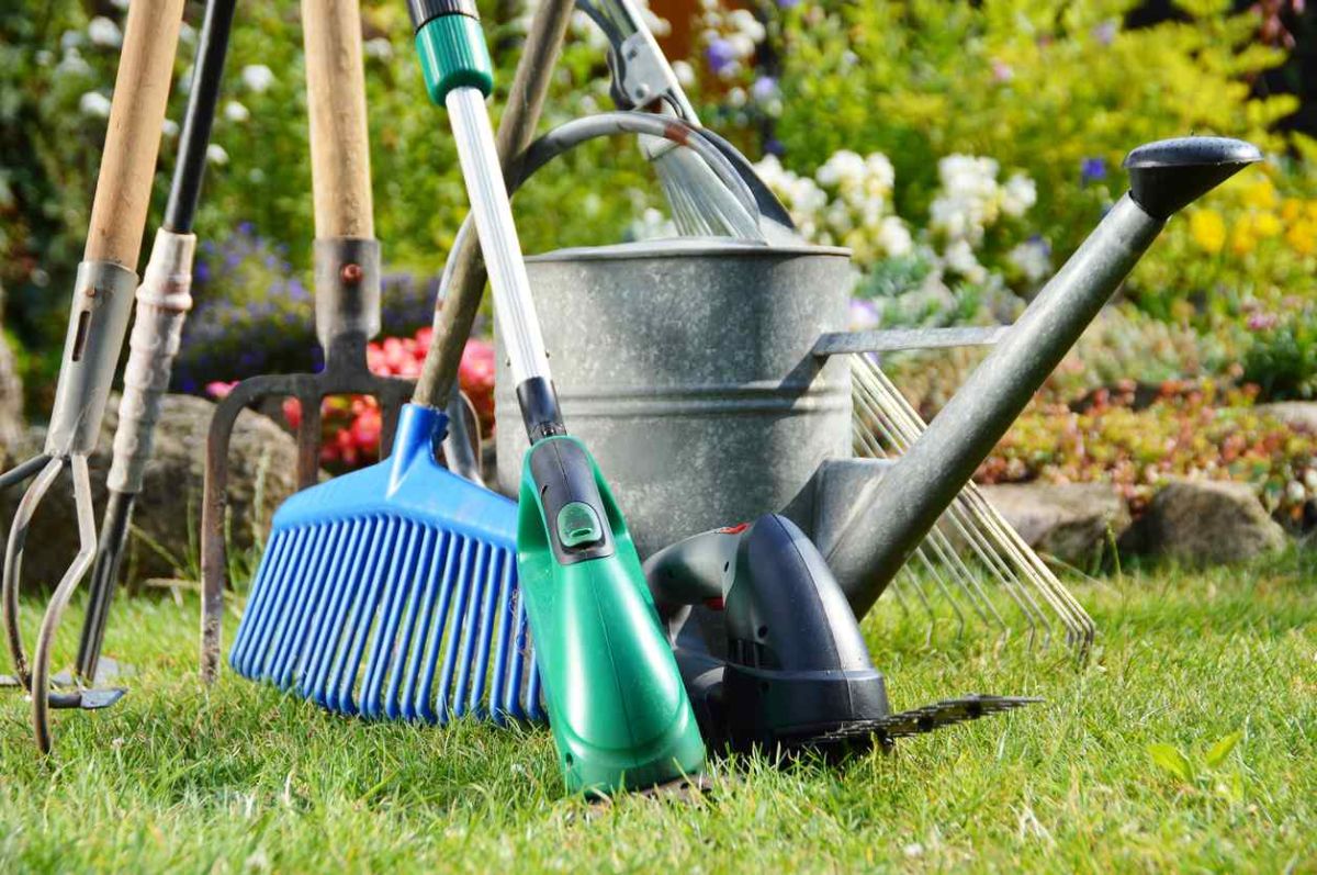 L'outil essentiel pour un jardin florissant : découvrez-le