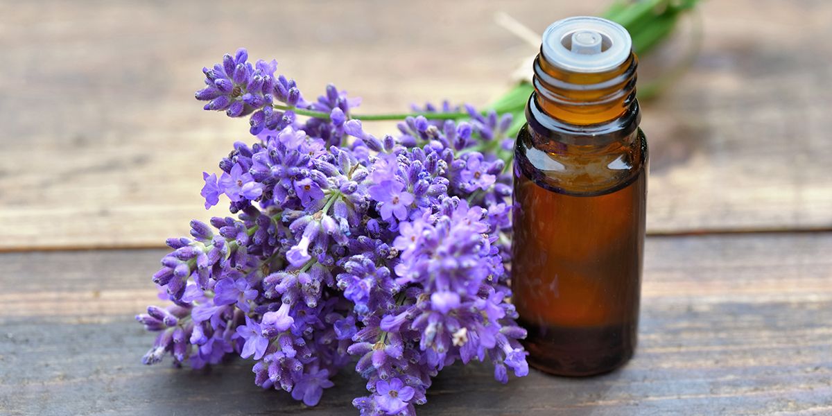 Découvrez les 6 bienfaits surprenants de l'huile essentielle de lavande