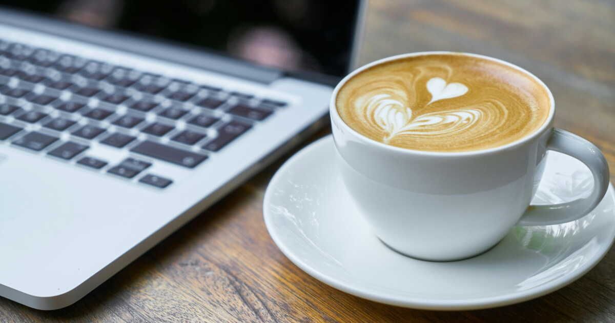 débarrassez-vous facilement de la moisissure et des moucherons dans votre cafetière