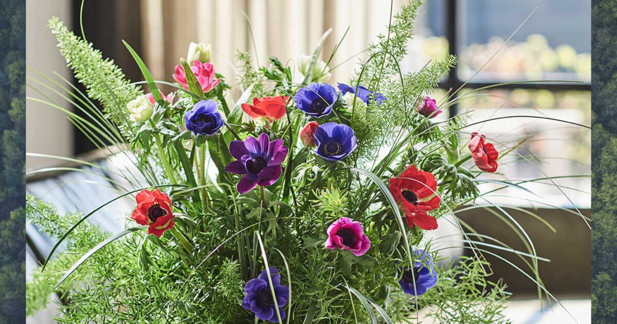 Les fleurs d'hiver : votre guide pour des bouquets élégants en janvier, février et mars