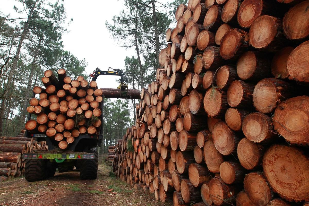 Record historique : plus de 100 tonnes de drogues saisies au Chili