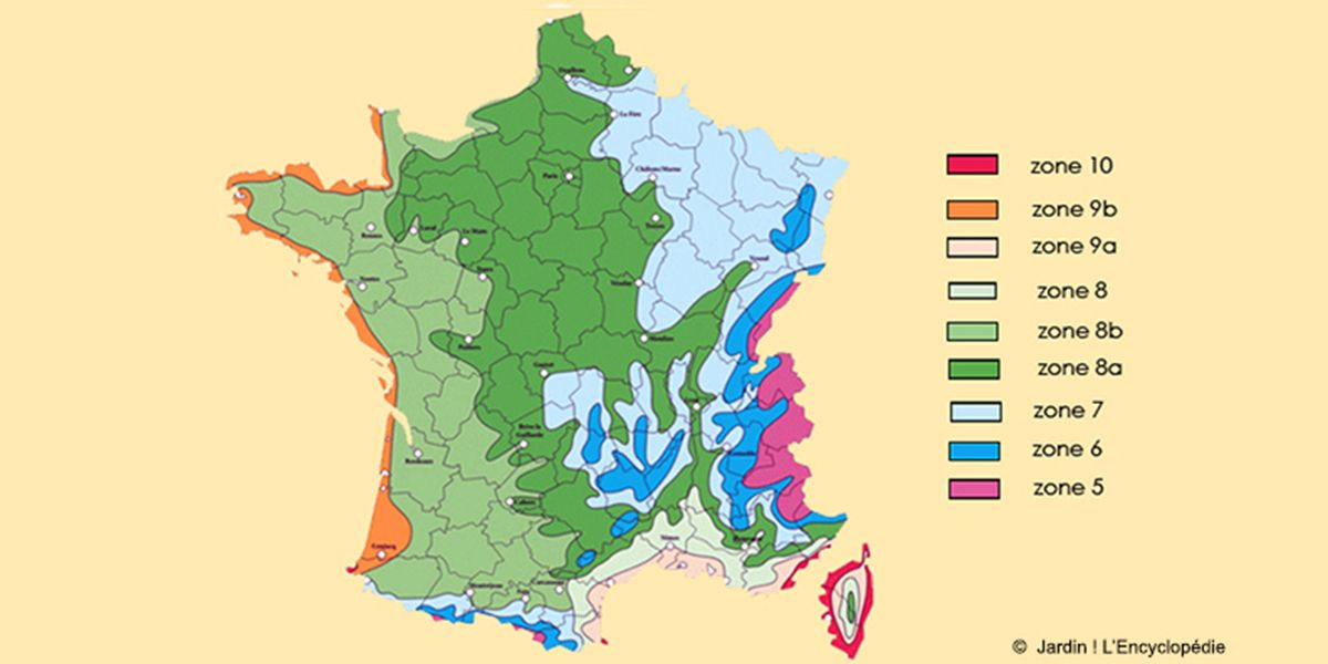 Les zones de rusticité, des données essentielles pour jardiniers