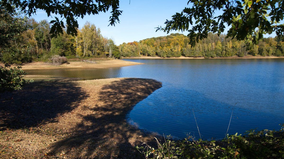 Mystère au bord de l'étang : un acte de sabotage met en péril la faune locale