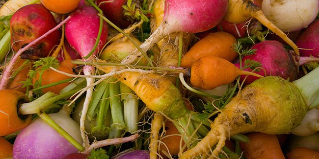 les secrets pour cultiver des mini-légumes dans votre jardin