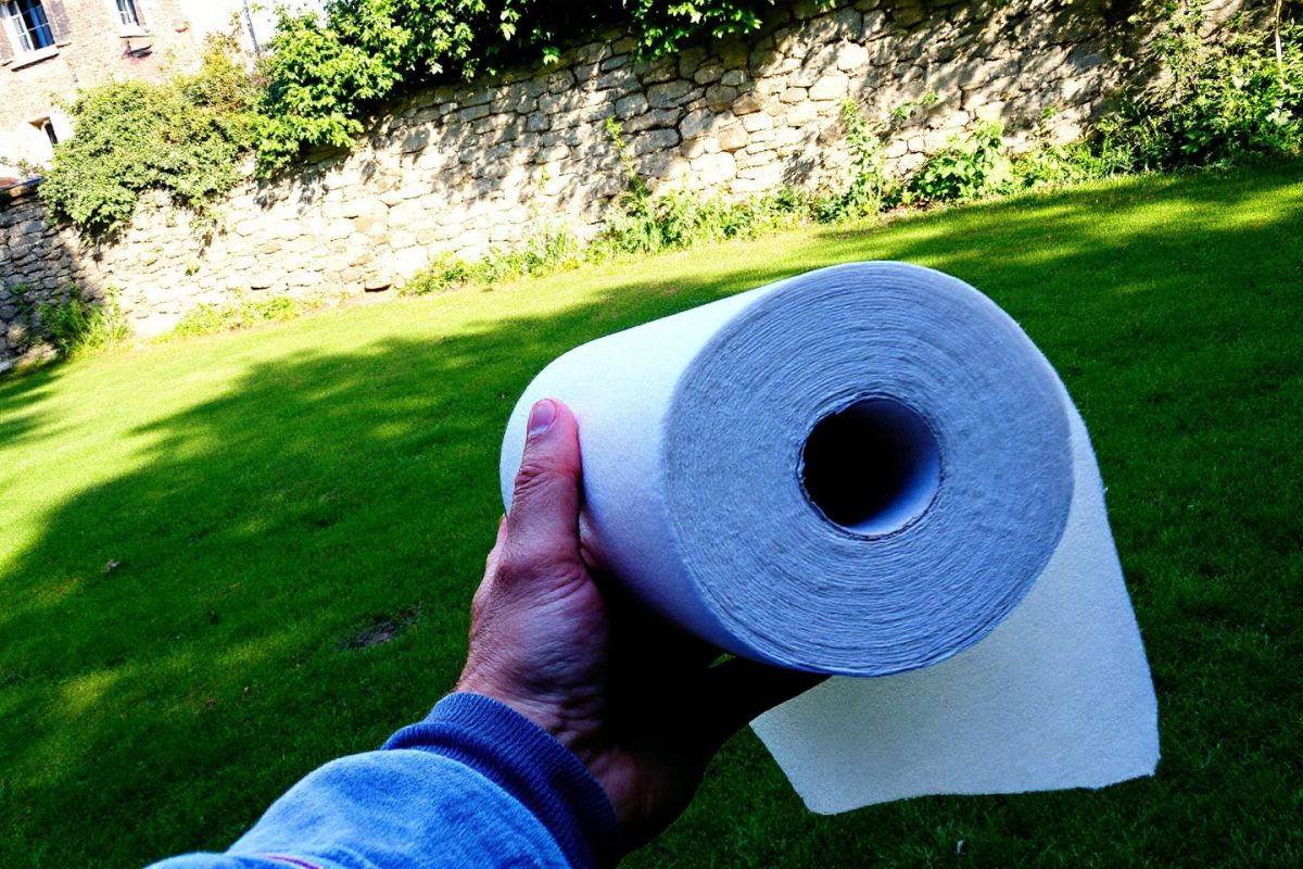 Une méthode surprenante pour revitaliser votre pelouse avec du papier toilette