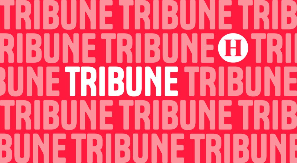 Femmes en colère : la lutte contre l'emprise masculine