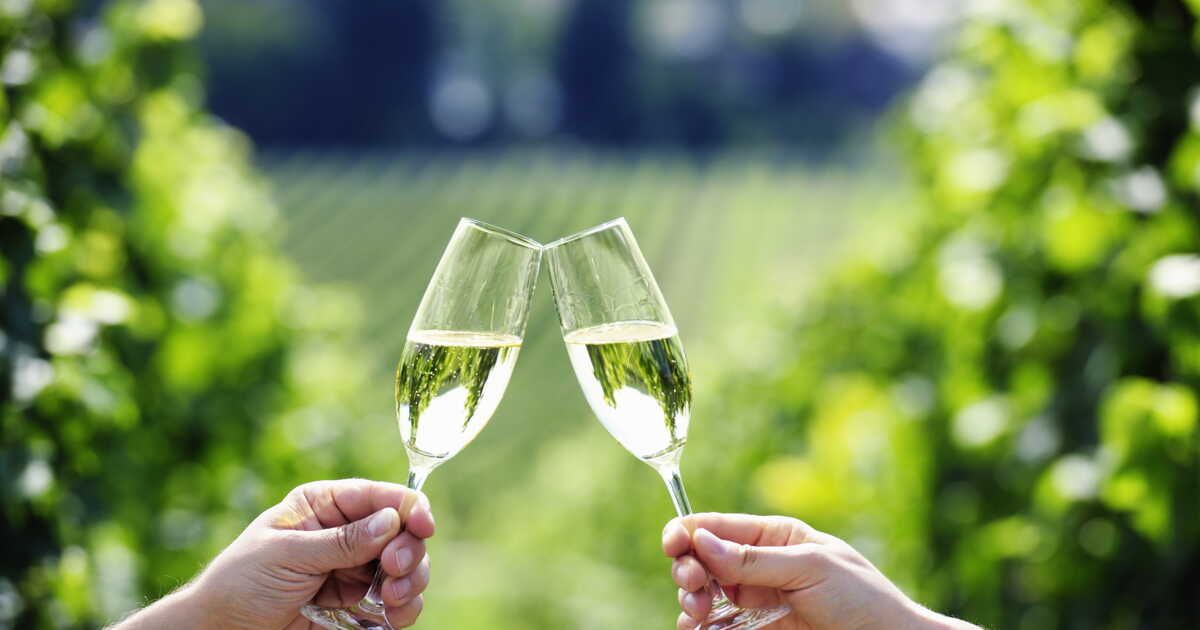 les secrets du prosecco : guide de sélection par une sommelière