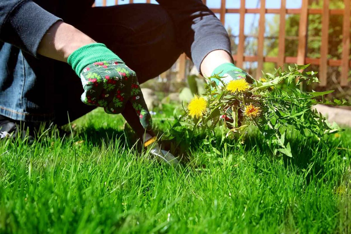 Septembre au jardin : préparez-vous à surmonter ces 3 défis