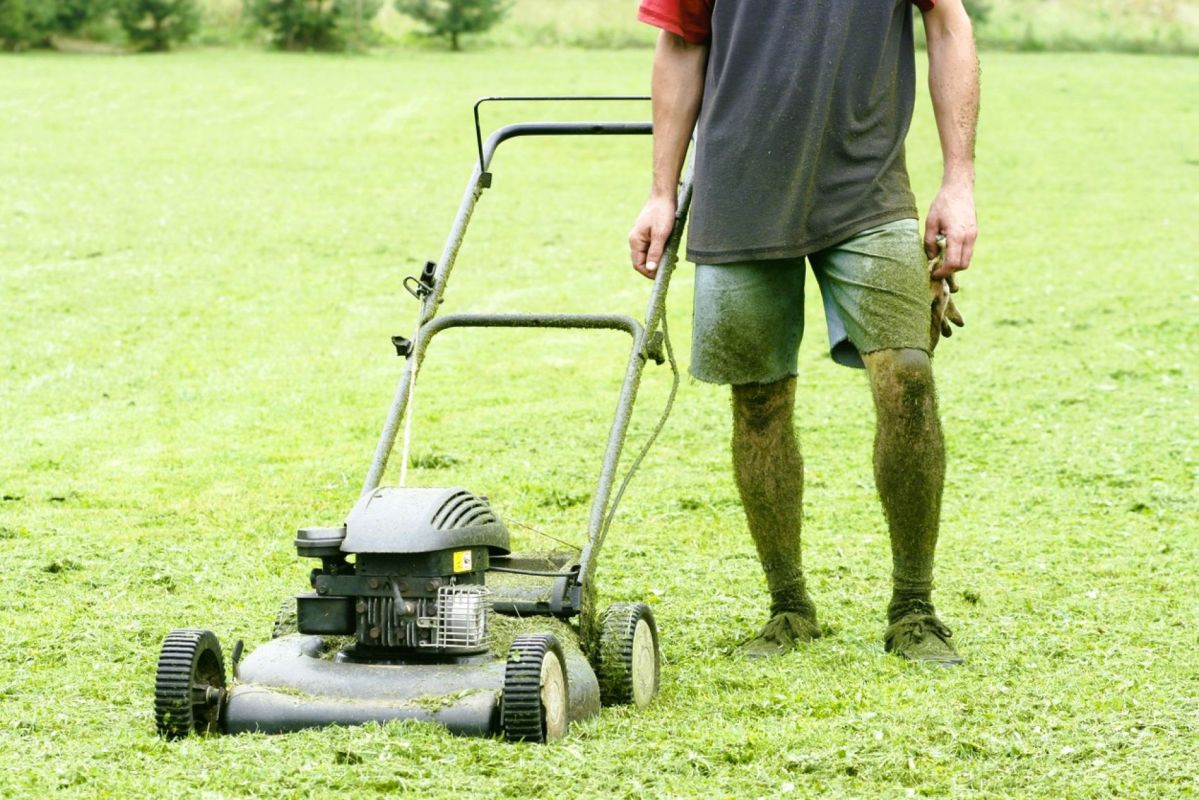 Libérez votre jardin : 4 revêtements naturels pour dire adieu à la pelouse