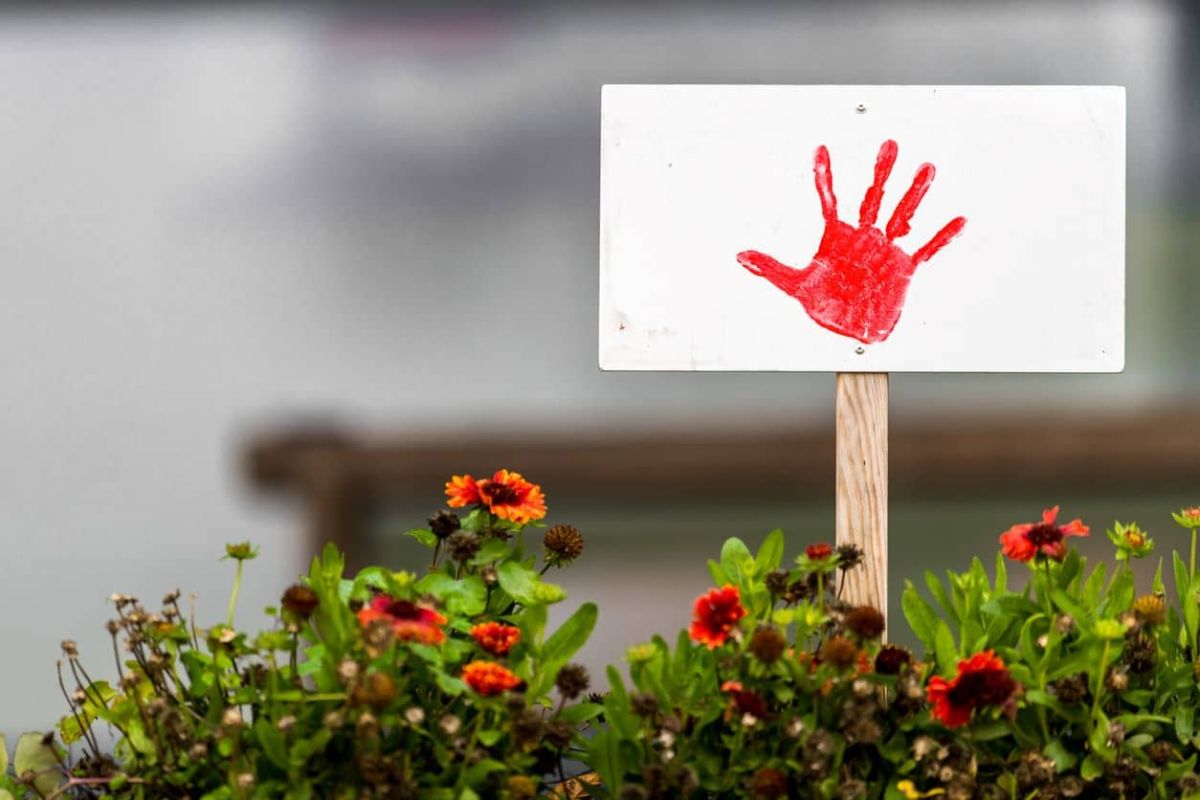 Les erreurs à éviter pour un jardin florissant au printemps
