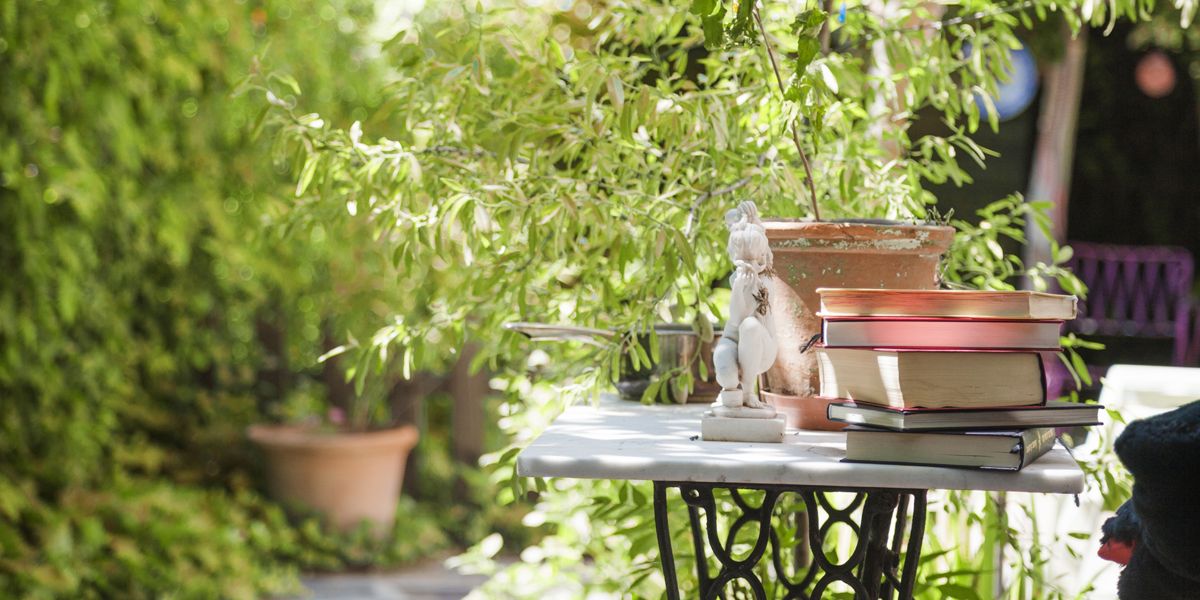 Comment créer un îlot de fraîcheur au jardin