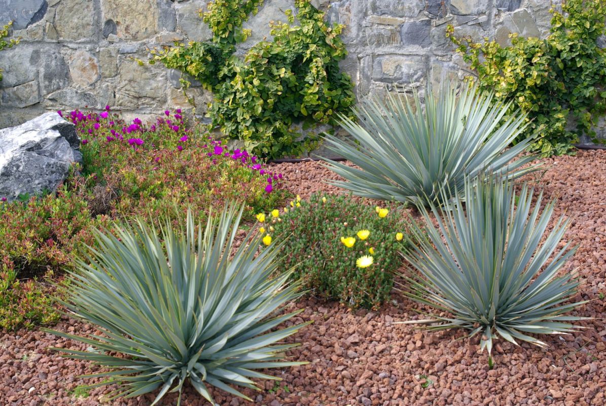 Comment aménager un jardin sans pelouse ?