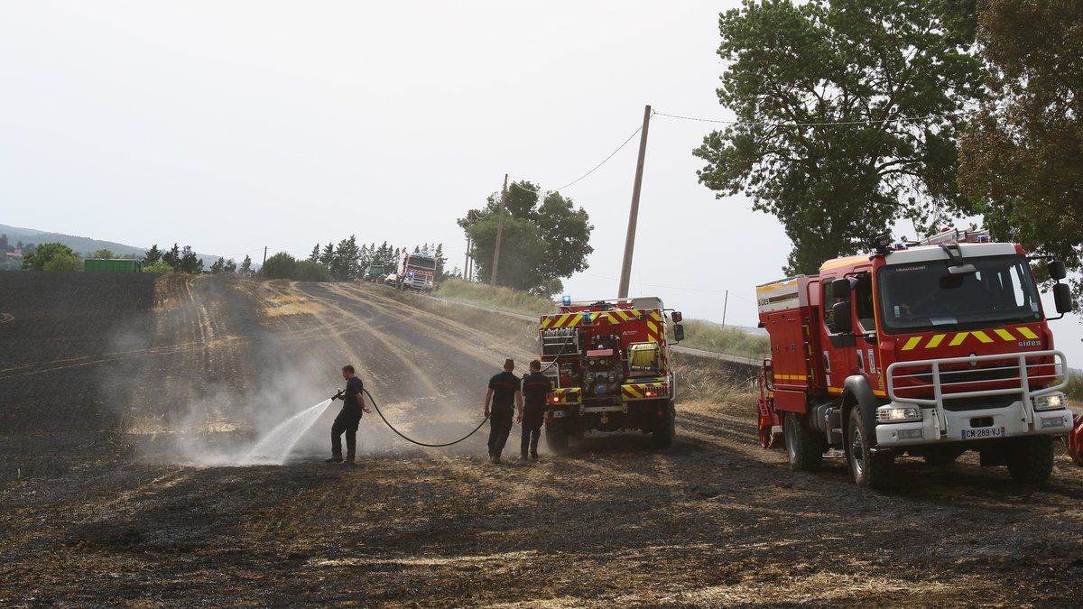 Moissons précoces dans le Gers : entre récolte et risques d'incendie