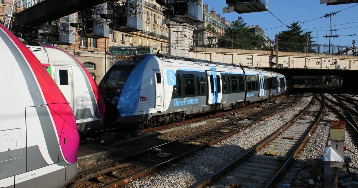 Retour aux racines : partagez votre expérience dans l’Ouest parisien