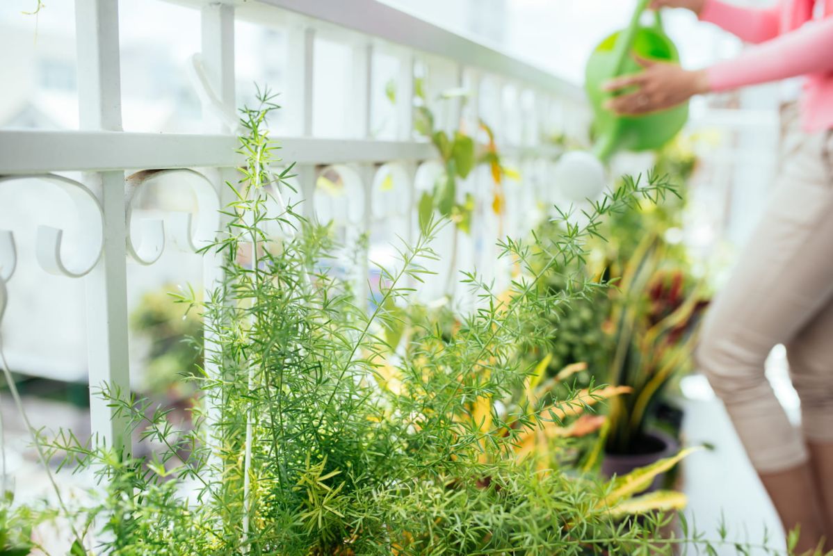 Créer un espace vert qui s'adapte à votre mode de vie