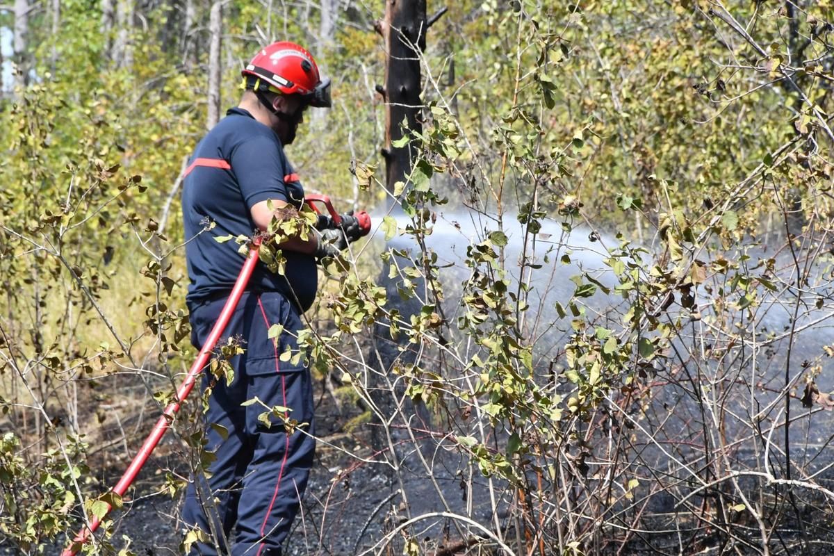 Dordogne : trois incendies ravagent 7000 m² en proie à la chaleur