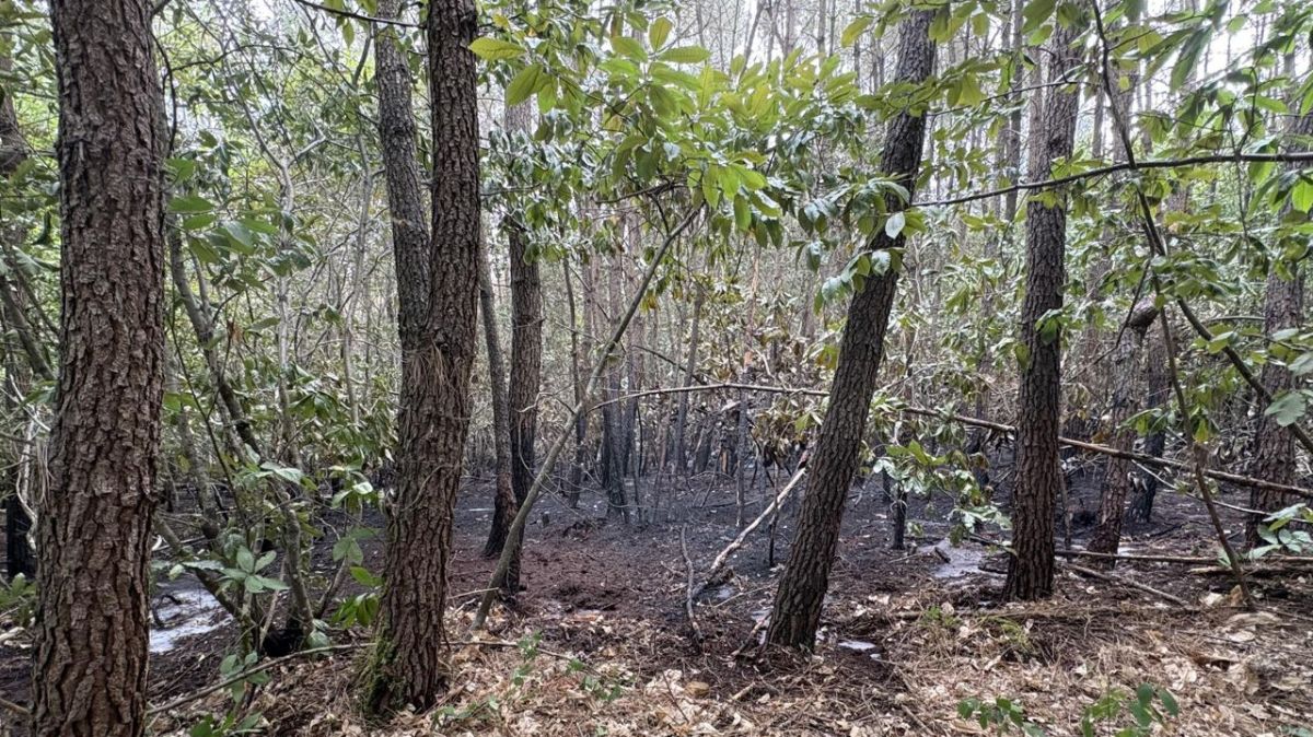 Les pompiers en première ligne face aux incendies dans la Vienne