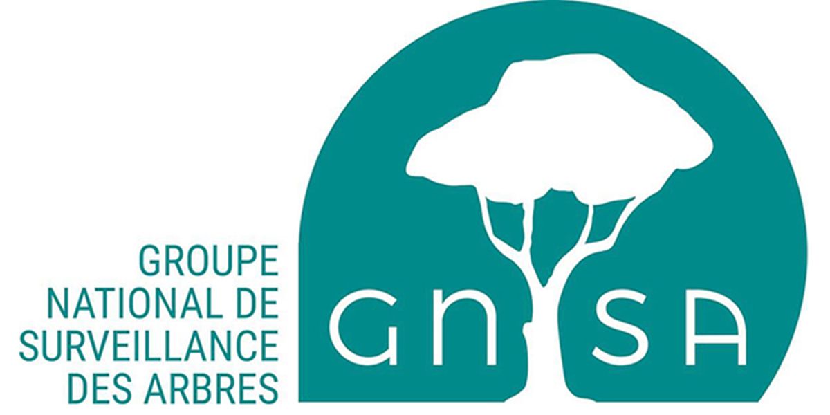 Groupe National de Surveillance des Arbres : une voix pour la nature