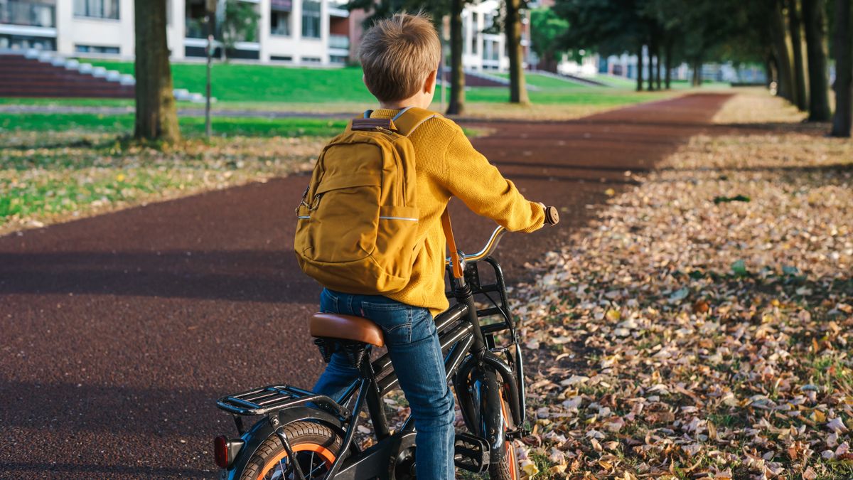 Un enfant s'égare pendant sa balade à vélo, la communauté se mobilise pour le retrouver