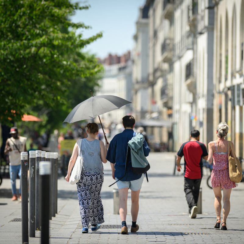 Le dilemme du bermuda au travail face à la canicule