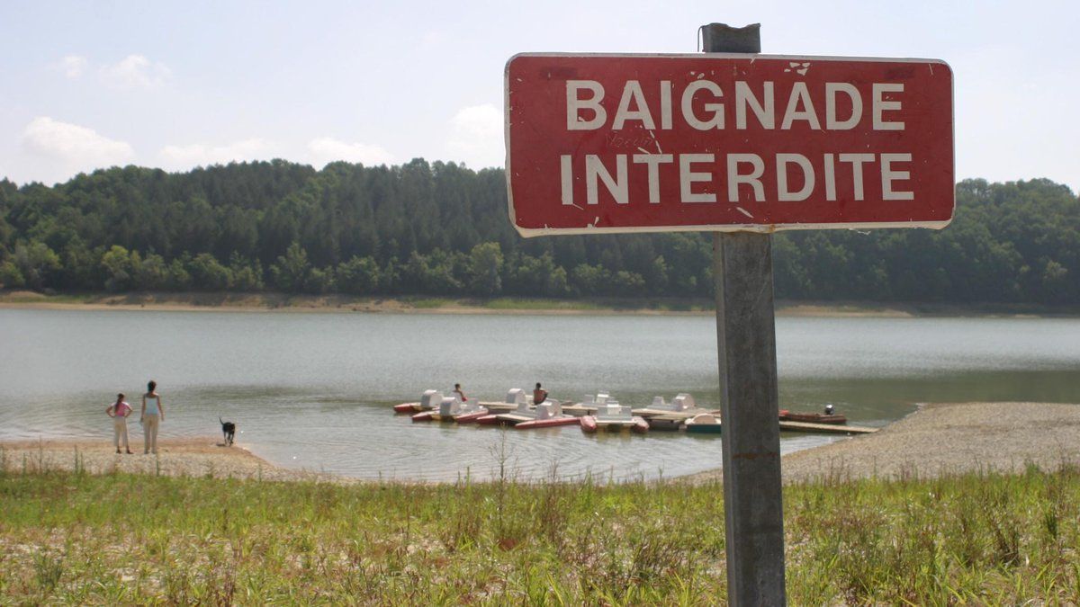 Tragédie au bord de la Sarthe : un homme se noie lors d'un pique-nique avec des amis