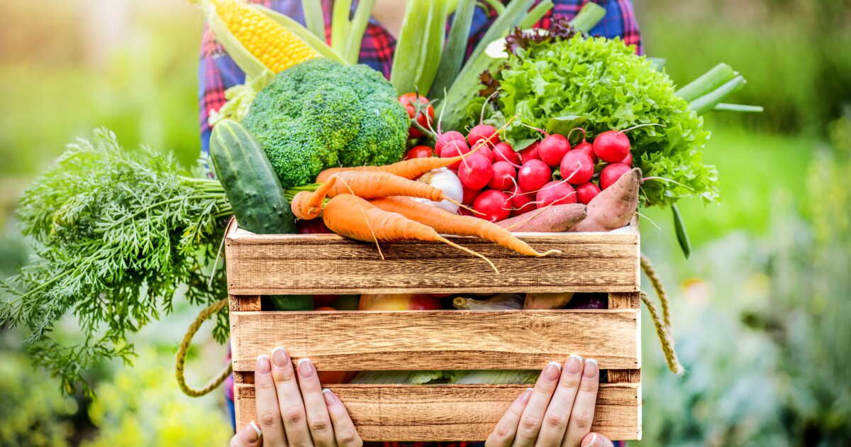 Cultivez facilement ces 5 légumes dans votre potager