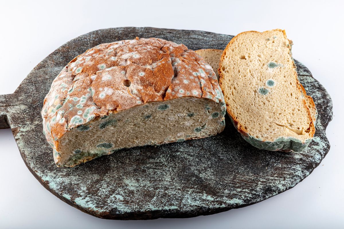 Que faire avec un aliment moisi ? Les conseils d'une virologue