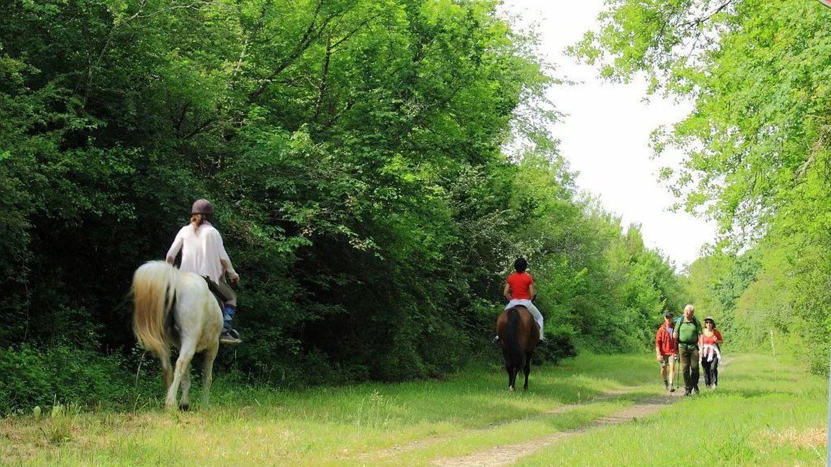 Sur les pas de d’Artagnan : une épopée équestre de 6000 km entre le Gers et Maastricht