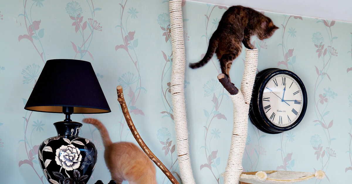 Créer un arbre à chat : un tuto ludique et original pour vos félins