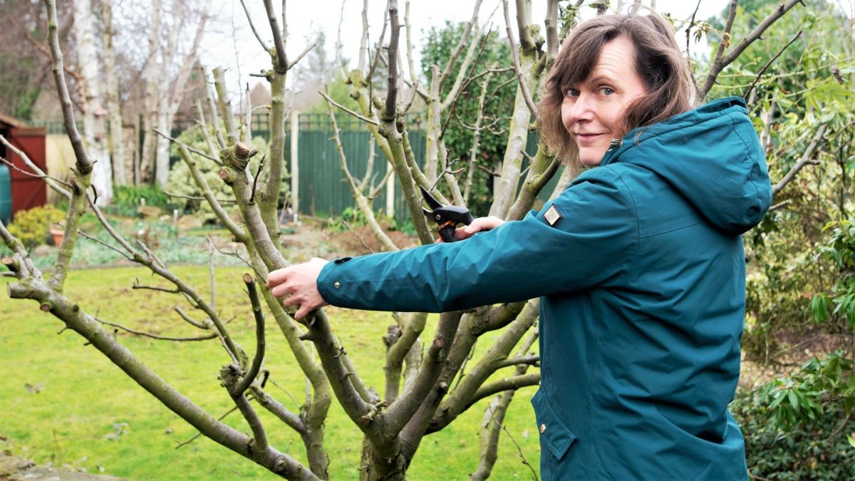 Février au jardin : conseils pour un jardin florissant