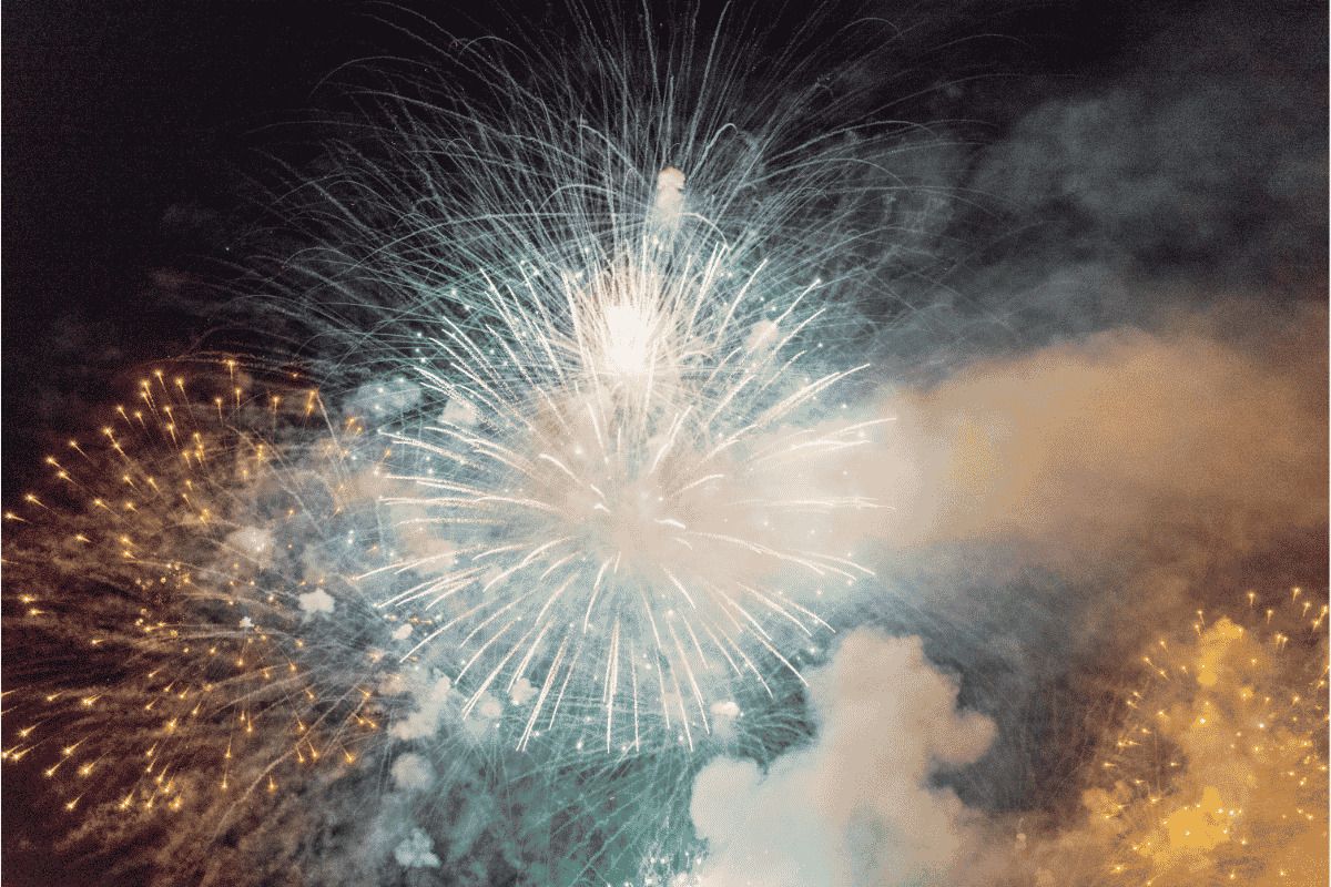 Prendre soin de nos compagnons : conseils des vétérinaires face aux feux d'artifice du 14 juillet