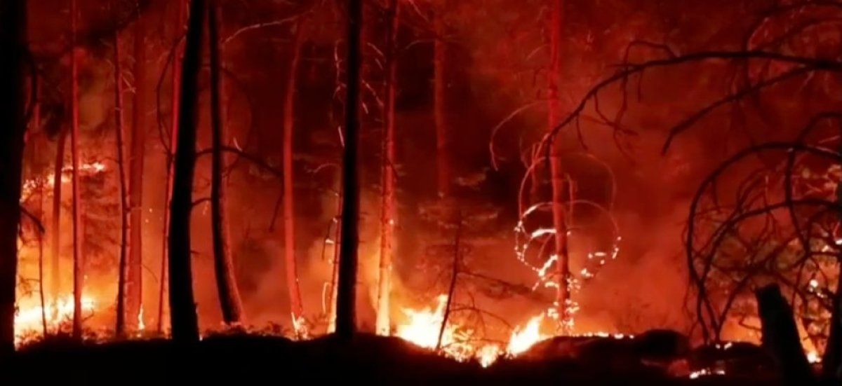 Fontainebleau en flammes : deux arrestations après le désastre forestier