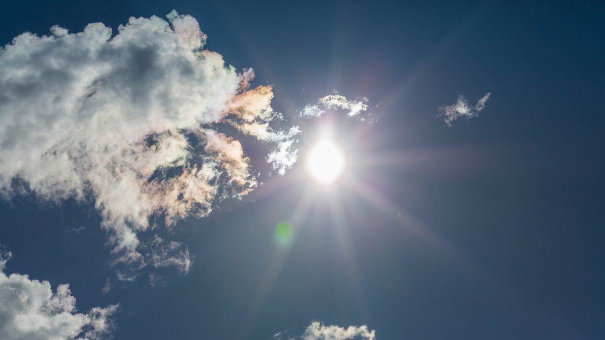Incendies et canicule : des dégâts considérables à Fontainebleau et la France en alerte