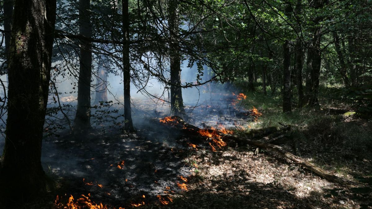 Les risques judiciaires des pyromanes face aux incendies de forêt en France