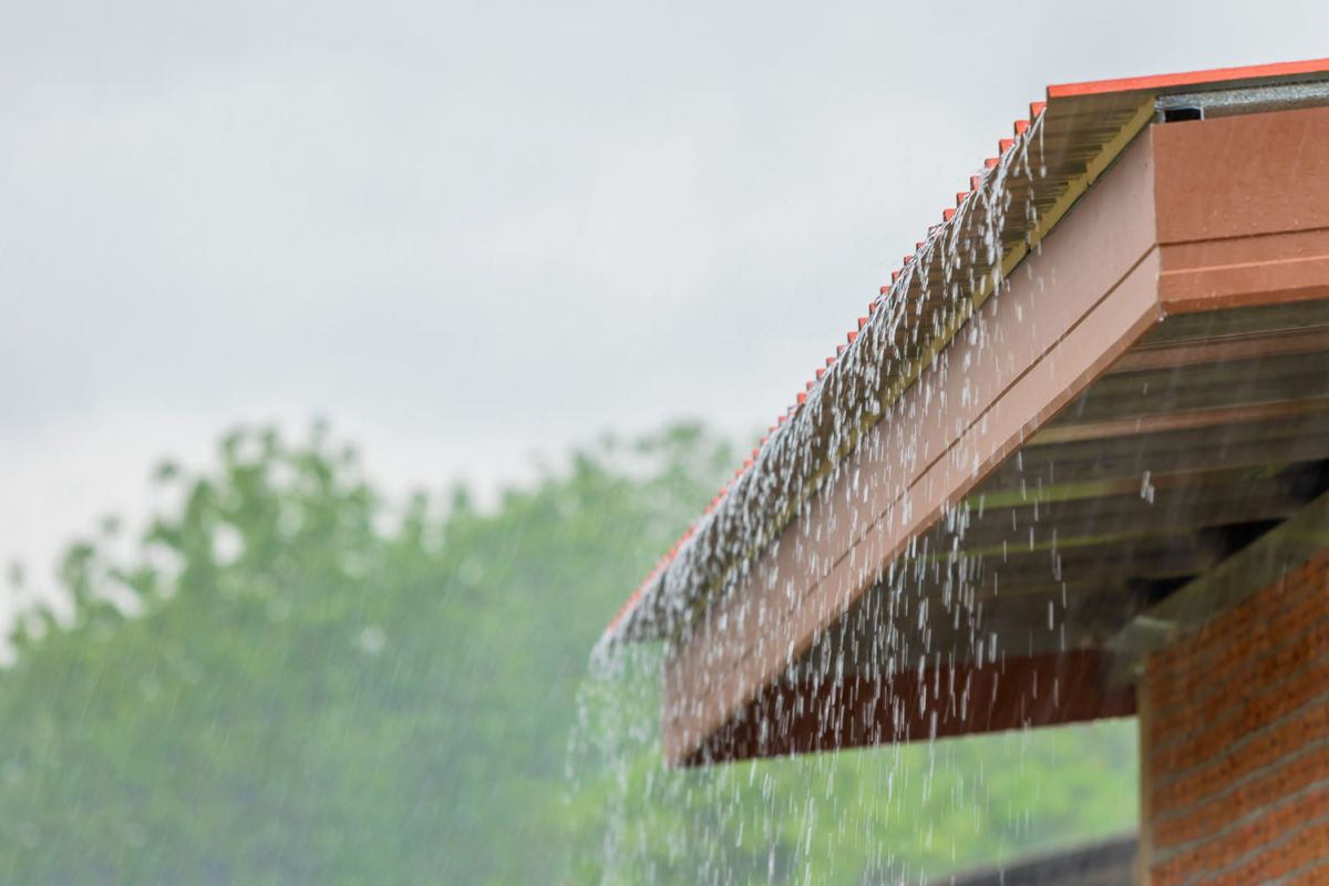 Récupérer l'eau de pluie : les précautions à ne pas négliger