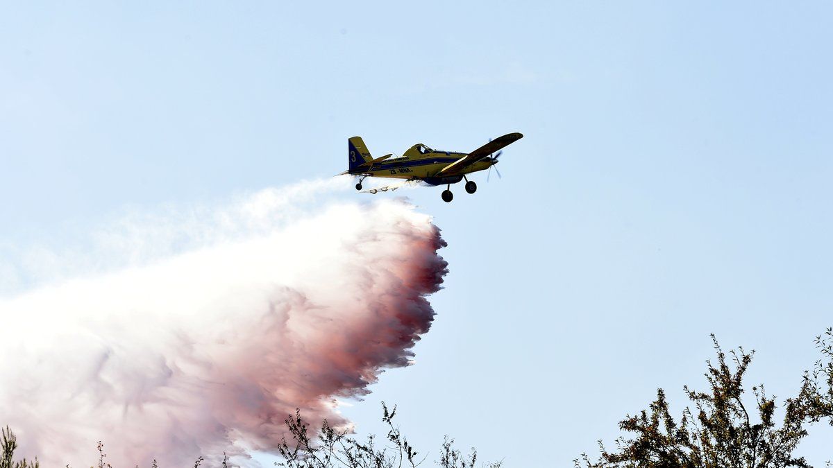 Canicule historique et incendies dévastateurs : la France en alerte rouge