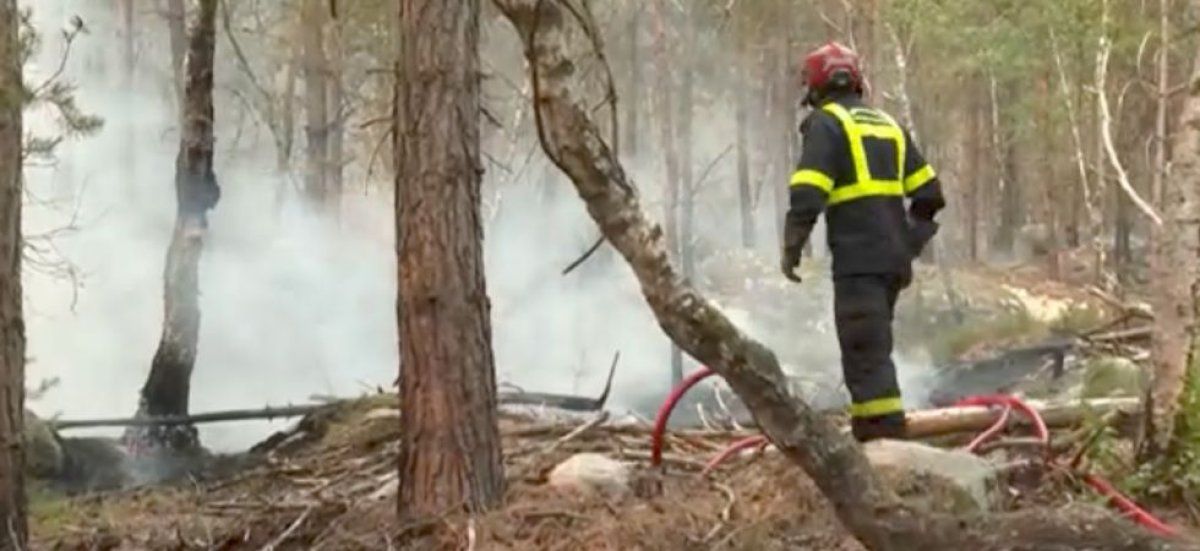 Incendies dévastateurs à Fontainebleau : un pompier volontaire écroué et l'arrivée d'Emmanuel Macron